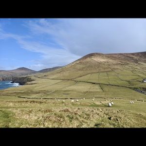 Meet your Posher, Luke